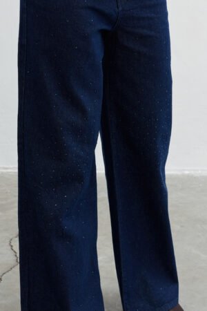 Dark Sky Jean - Lacivert